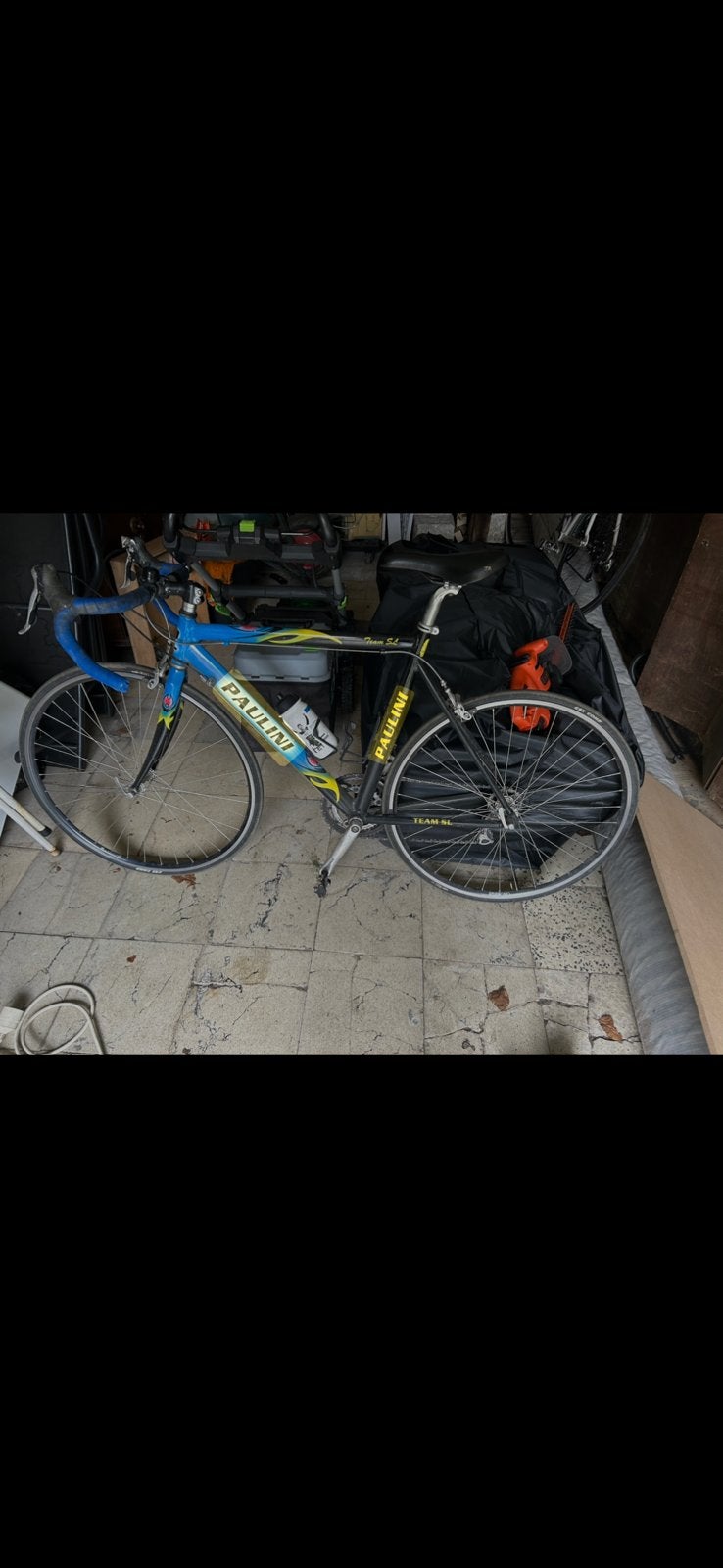 Paulini koerfiets, Fietsen en Brommers, Fietsen | Racefietsen, Ophalen, Gebruikt