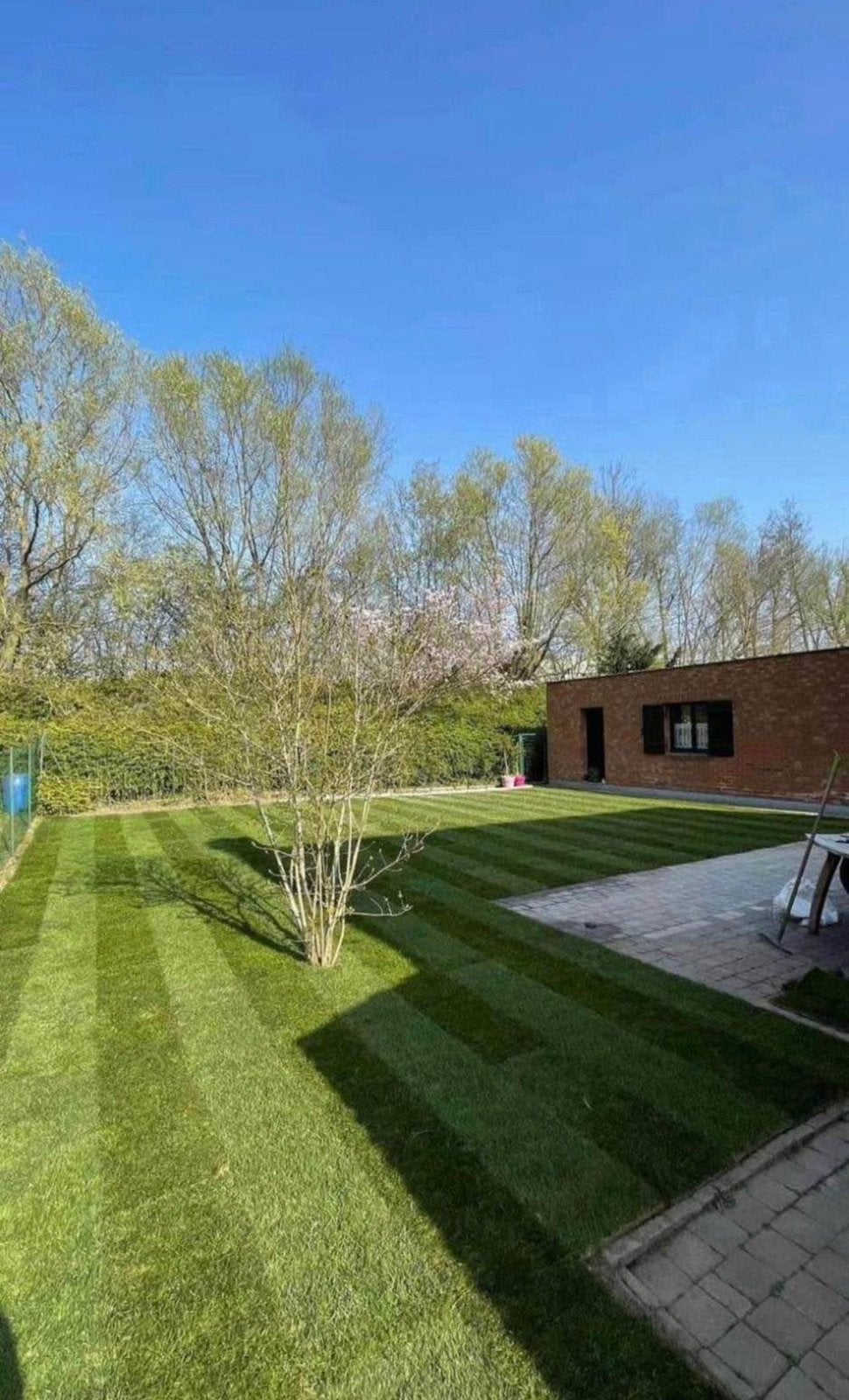 Aménagement extérieur de A à Z, Jardin & Terrasse, Enlèvement ou Envoi, Comme neuf