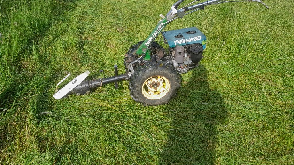 Tuinfrees Ferrari, Ophalen, Benzine, Gebruikt, Ferrari