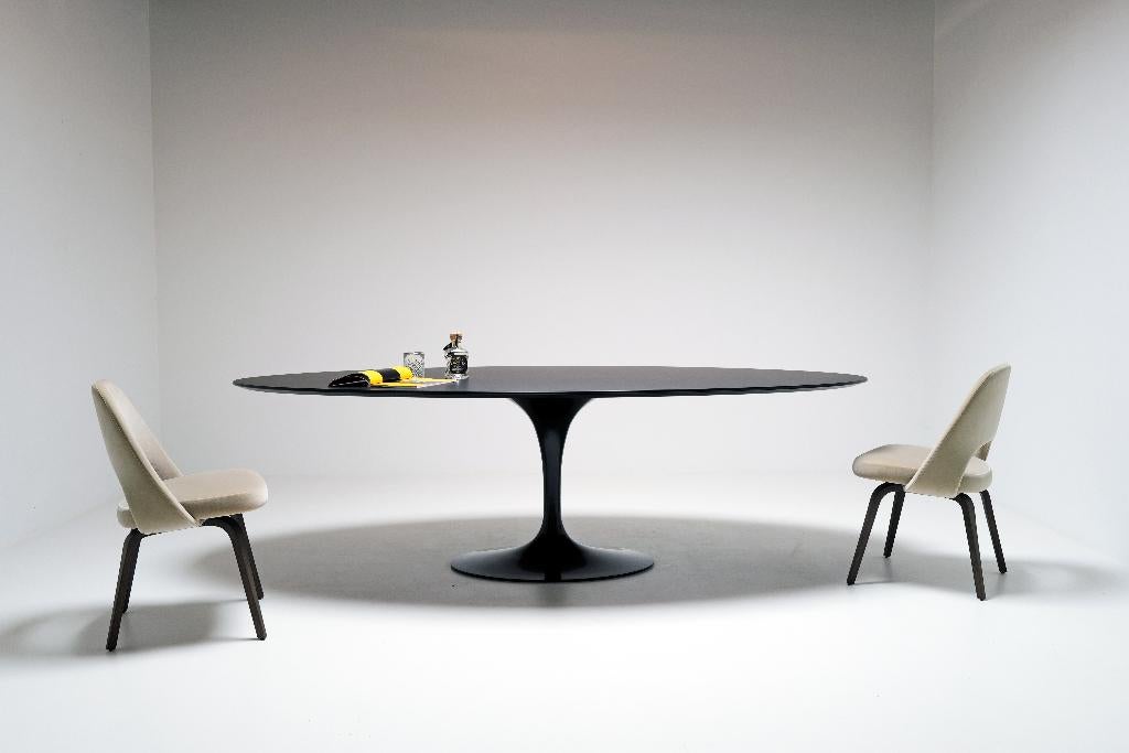 Ovalen Knoll Tulip tafel, Ophalen of Verzenden