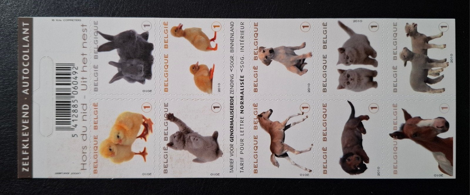 België: OBP 4004/13-B112 ** Uit het nest 2010., Frankeerzegel, Ophalen of Verzenden, Zonder stempel, Postfris
