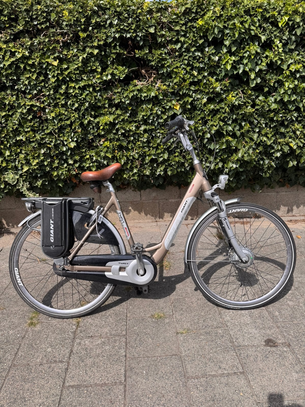 Elektrische Fiets ~Giant Double Twist (3 accu’s inbegrepen), Enlèvement, Comme neuf, 50 km par batterie ou plus, Giant