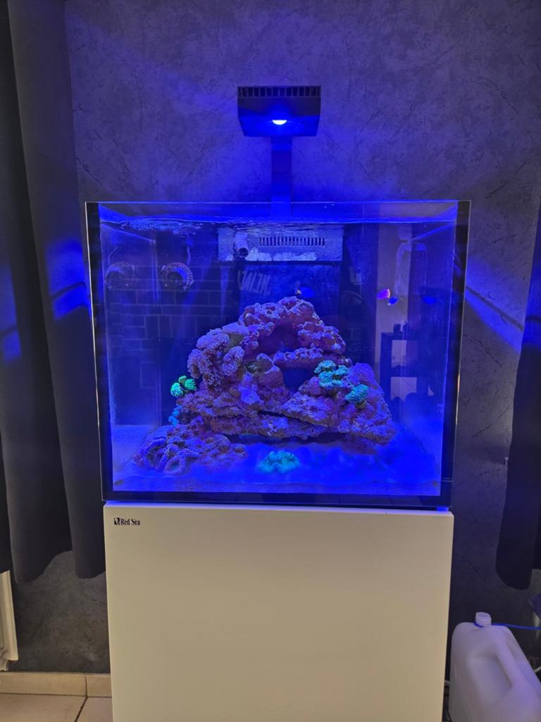 Red sea reefer 170g2, Enlèvement, Pompe, Aqua Medic