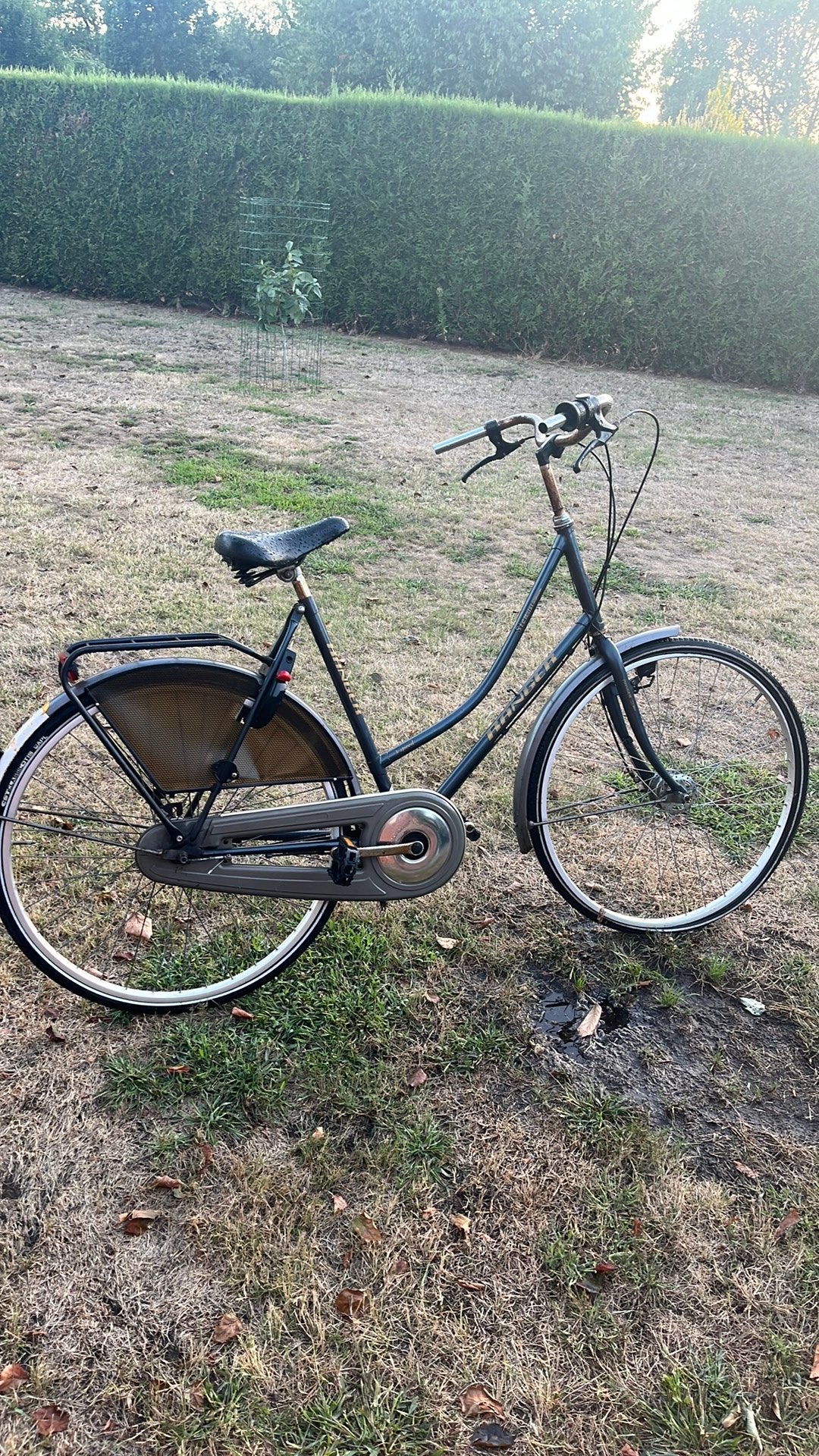 Fiets, Enlèvement, Utilisé, Frein sur jante, Frein à main