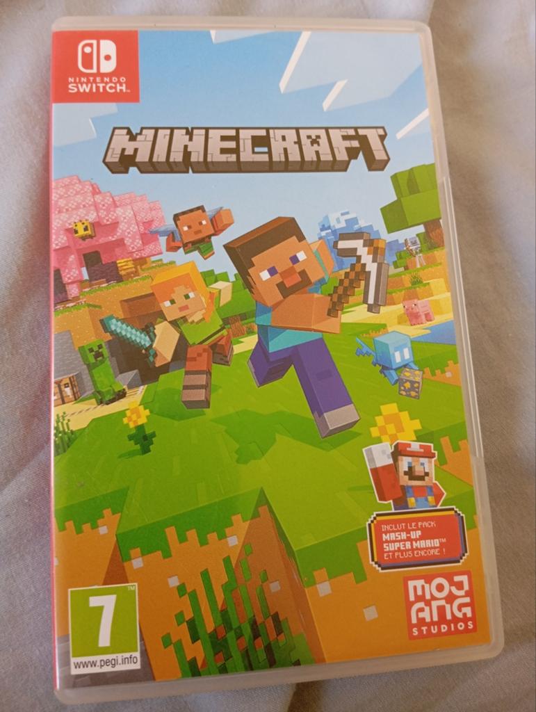 Minecraft : Nintendo Switch Edition, Consoles de jeu & Jeux vidéo, Jeux | Nintendo Switch, À partir de 12 ans