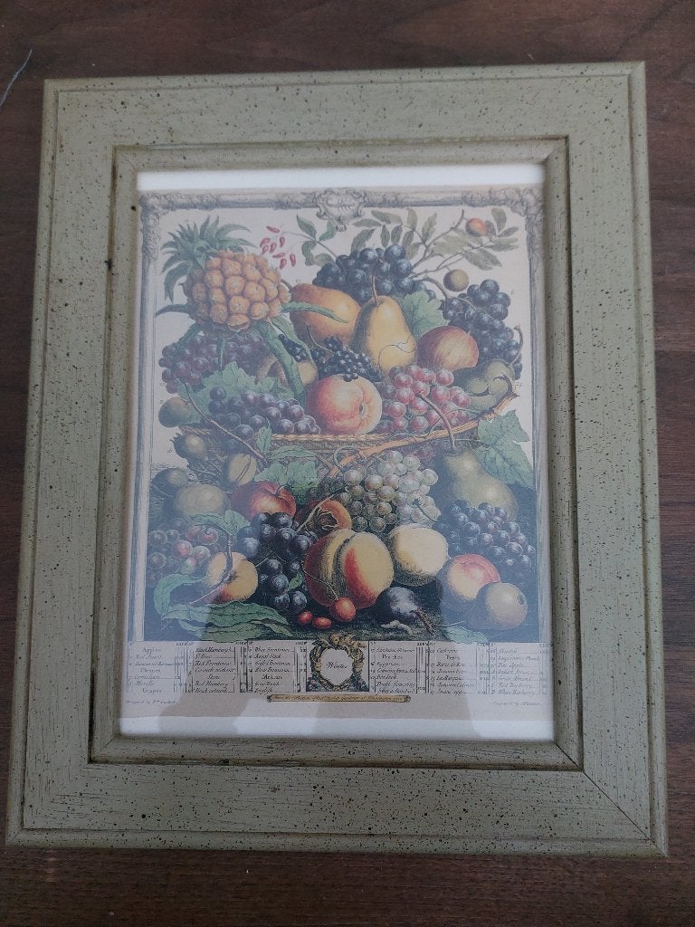 Prent fruit       µ1j, Verzamelen, Foto's en Prenten, Prent, Ophalen