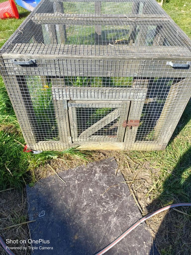 Buitenren, Dieren en Toebehoren, Ophalen