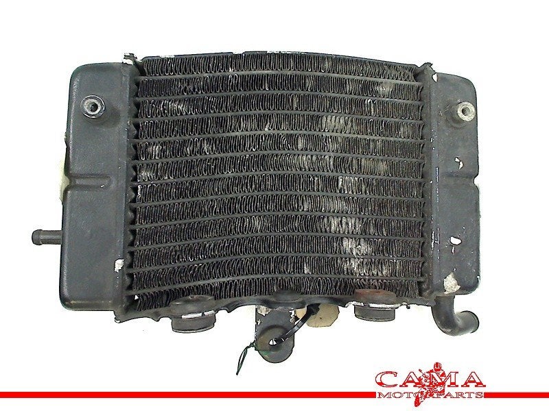 RADIATEUR Honda XL 600 V Transalp 1991-1993 (XL600V PD06), Motoren, Onderdelen | Honda, Dhr. S. di Majo, Gebruikt, Info@cama-motorparts.nl