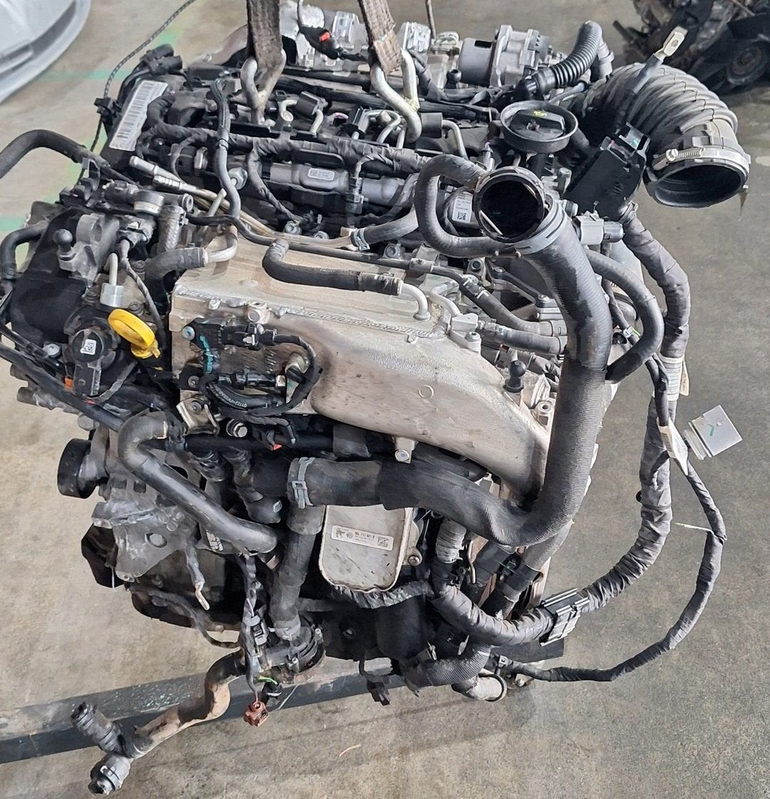 Motor 2.0 TDI Evo VW Golf 8 / Caddy / Octavia IV 2022 — Moto, Gebruikt, -, -, Ophalen of Verzenden