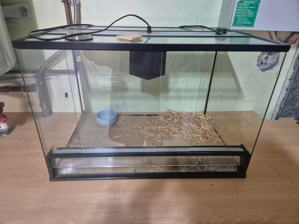1 kleine terrarium, 90 cm ou plus, Enlèvement, Utilisé, Autres types