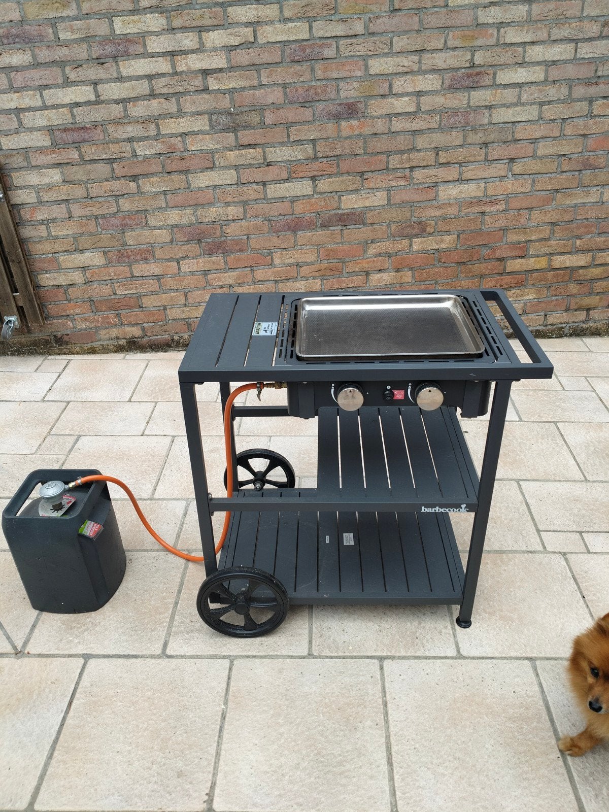 planchas Barbecook au GAZ, Zo goed als nieuw, Barbecook