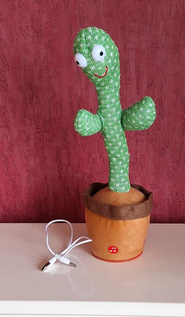 Sprekende cactus, Ophalen, Zo goed als nieuw, Jongen of Meisje