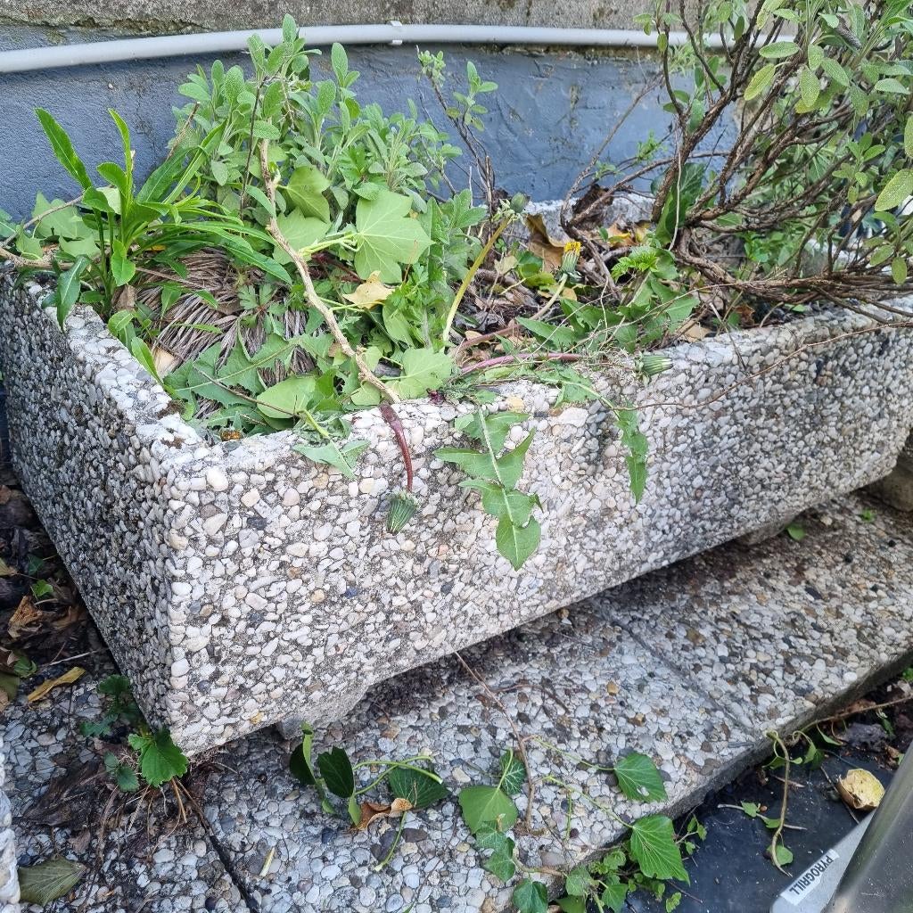 Bac à fleurs beton, Jardin & Terrasse, Bacs à fleurs & Jardinières, Enlèvement, Utilisé, Béton
