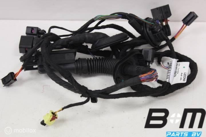 Portier kabelboom LV Audi A6 4G Sedan 2.0 TFSI 4G5971029FN, Gebruikt
