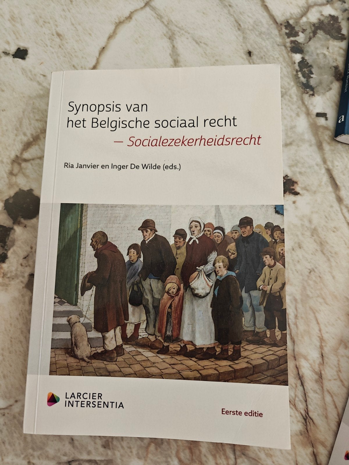 Synopsis van het Belgische sociaal recht - Socialezekerheids, Boeken, Wetenschap, Ophalen, Ria Janvier; Inger De Wilde