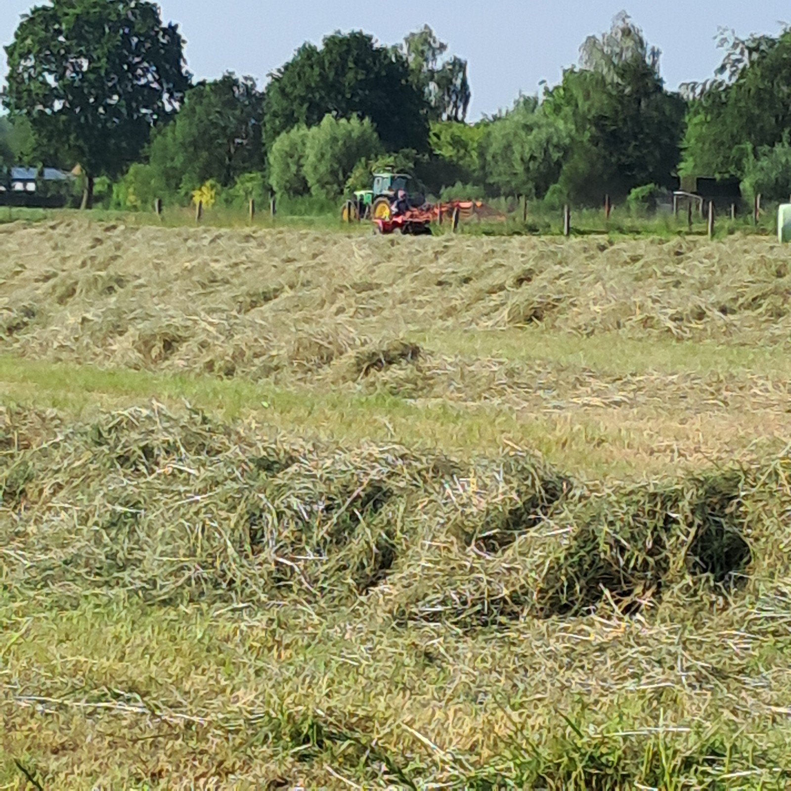 Hooi, Dieren en Toebehoren, Ophalen