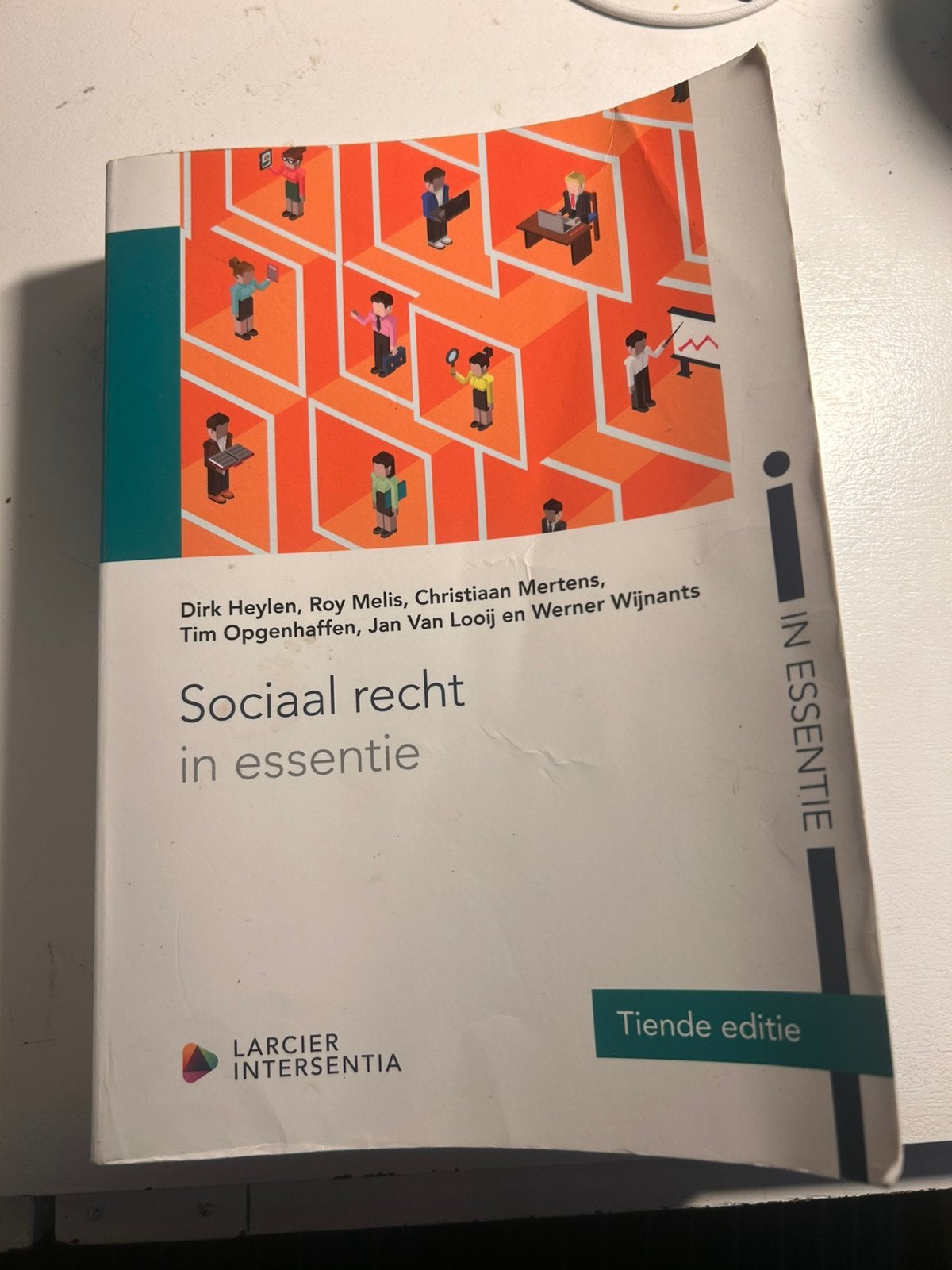 Dirk Heylen - Sociaal recht in essentie (tiende editie), Boeken, Verzenden, Nederlands, Dirk Heylen; Roy Melis