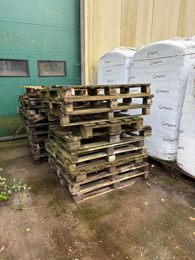 Paletten voor brandhout, Jardin & Terrasse, Bois de chauffage, Enlèvement