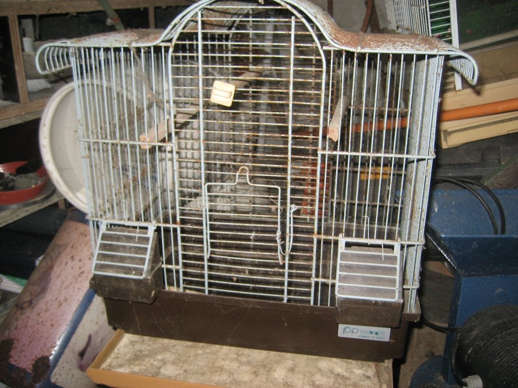 Vogelkooi, Dieren en Toebehoren, Ophalen, Gebruikt