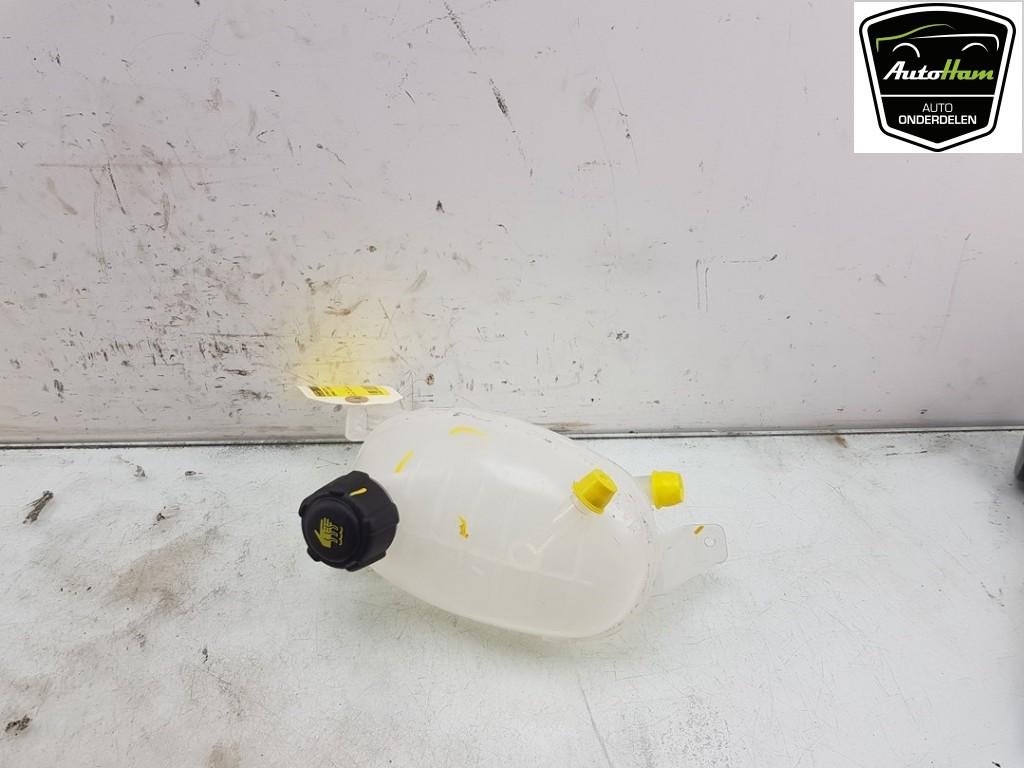 EXPANSIERESERVOIR Renault Express (01-2021/-) (|217101878R|), Gebruikt, Renault