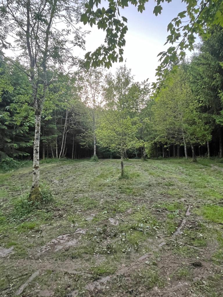 Terrain camping à louer