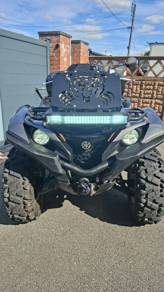 700 grizzly, Motos, 700 cm³
