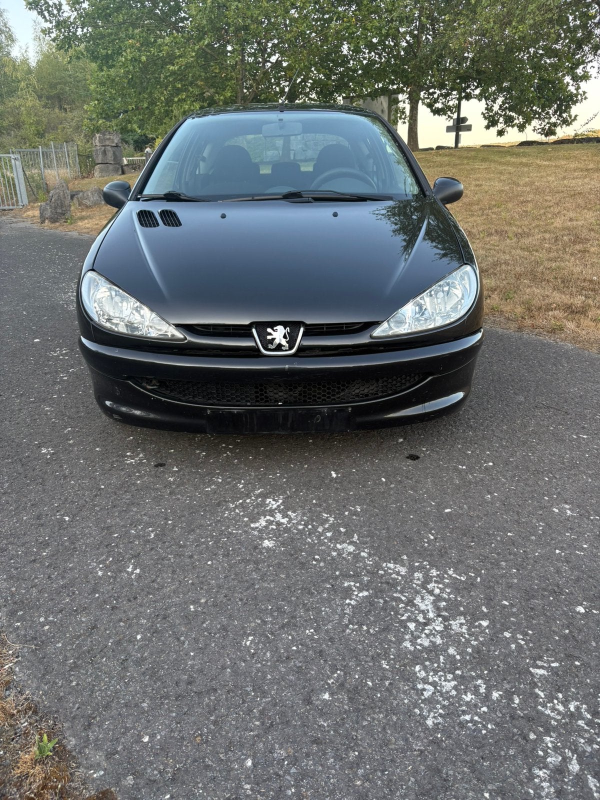 Peugeot 206 prete à immatriculer, Achat, Particulier, 1100 cm³, Essence