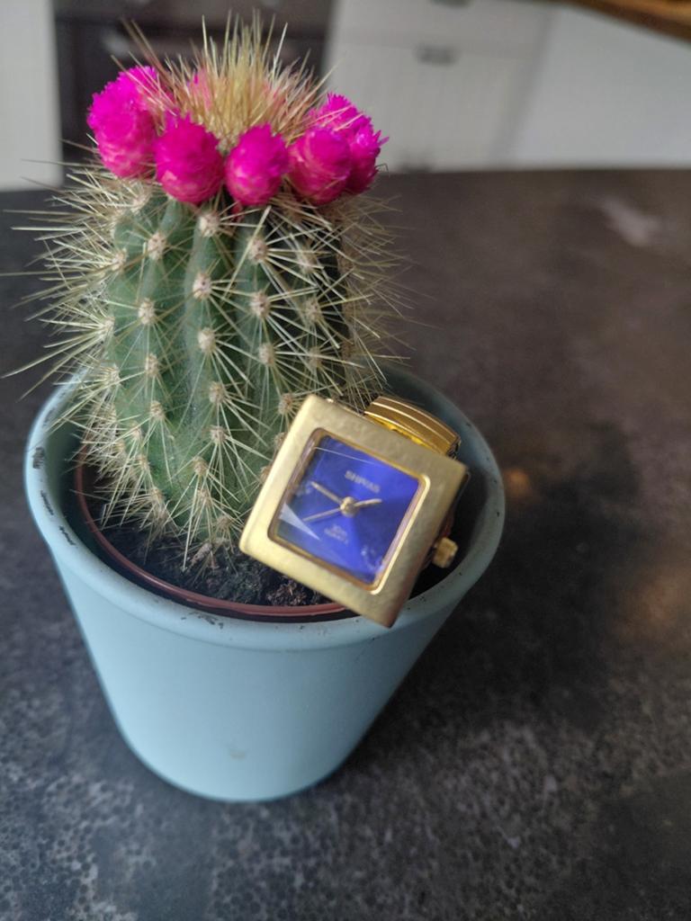 Dameshorloge, Handtassen en Accessoires, Horloges | Dames, Ophalen of Verzenden