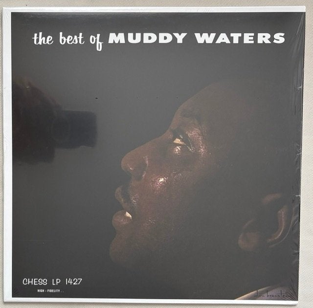 Muddy Waters – The Best Of Muddy Waters, CD & DVD, Vinyles | Jazz & Blues, 12 pouces, 1980 à nos jours, Enlèvement ou Envoi, Comme neuf
