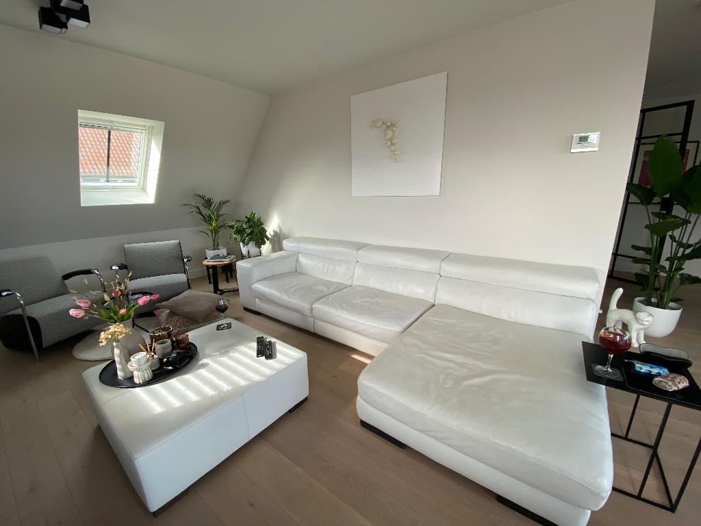 Salon, Ophalen, Gebruikt, Leer, Modern