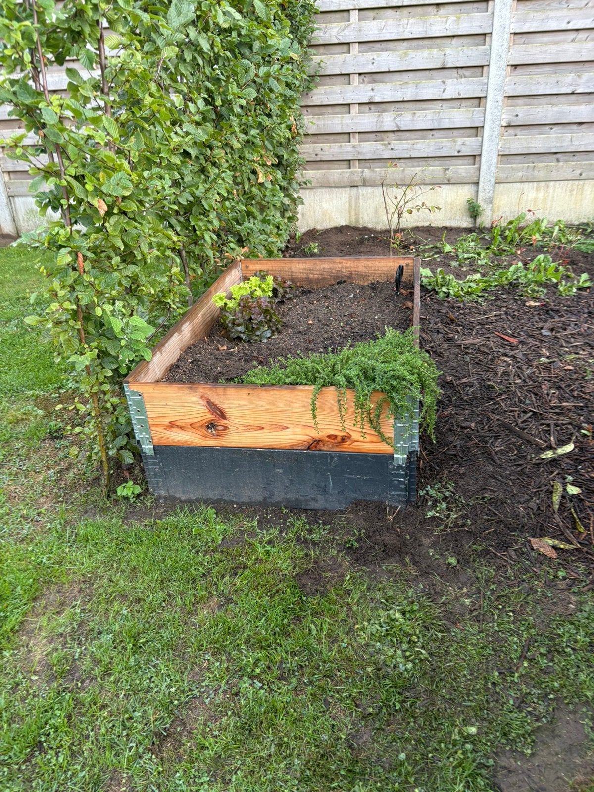 2 moestuinbaken, Ophalen, Zo goed als nieuw
