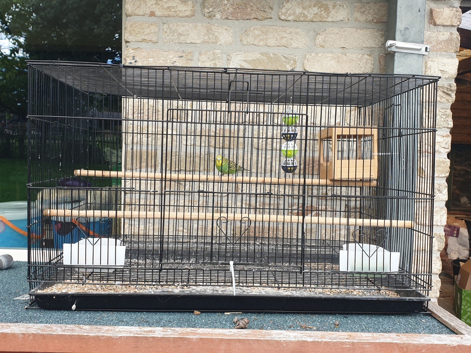 couple de perruches homme et poupée + cage, Plusieurs animaux