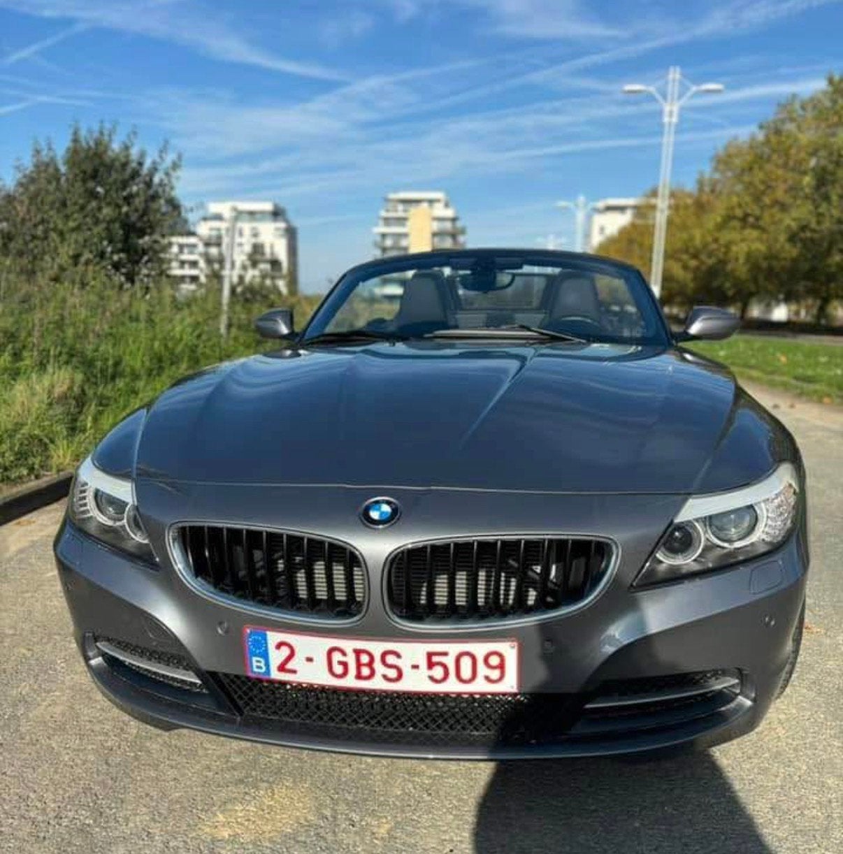 Bmw Cabrio Z4 avec très peu de km, Cuir, Argent ou Gris, Achat, Entreprise