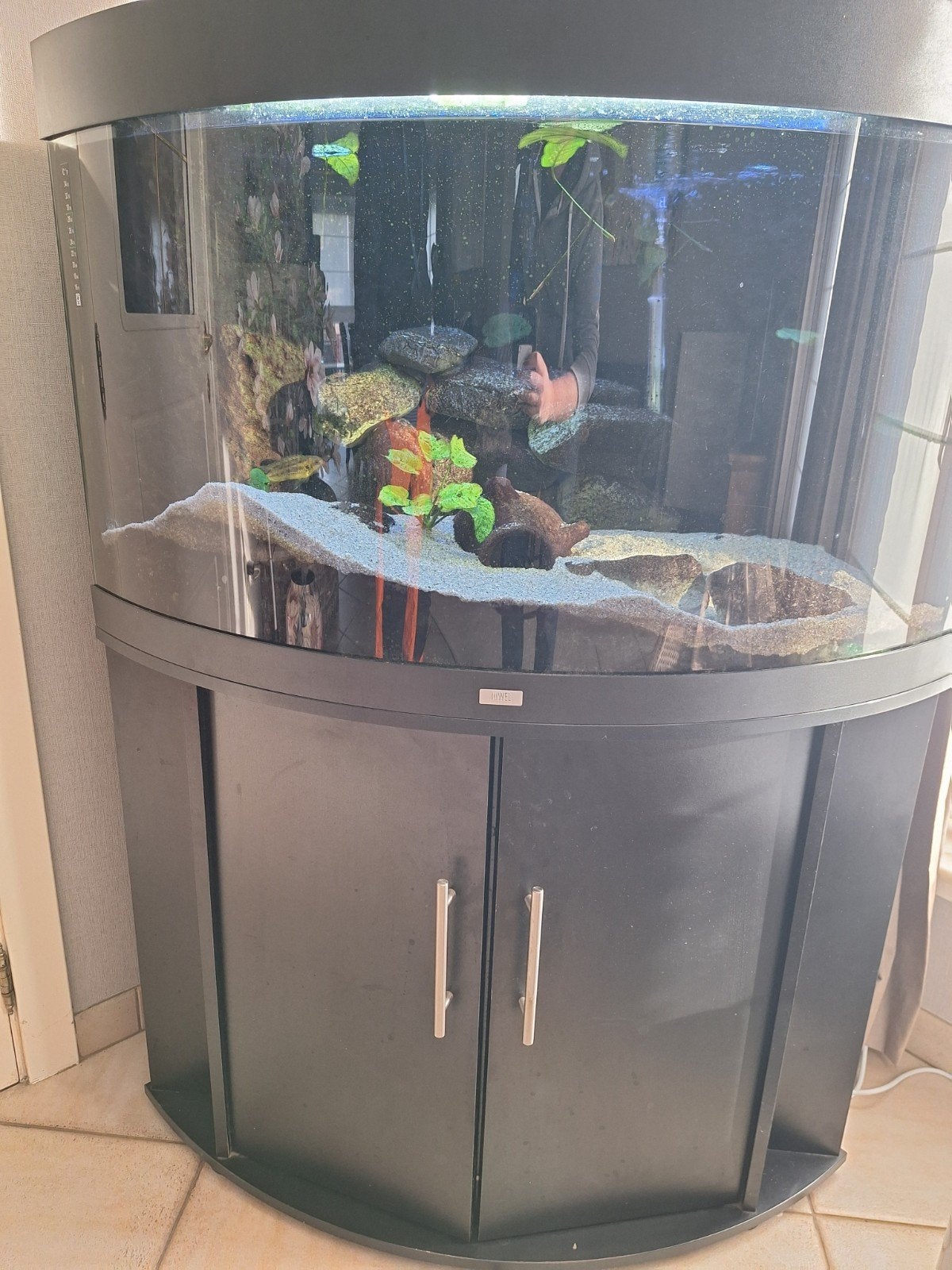 Juwel aquarium, Enlèvement, Poissons inclus, Juwel