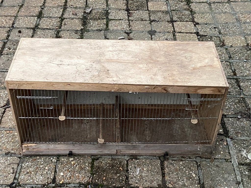 Vogelkooi, Enlèvement, Utilisé, Bois, Cage à oiseaux