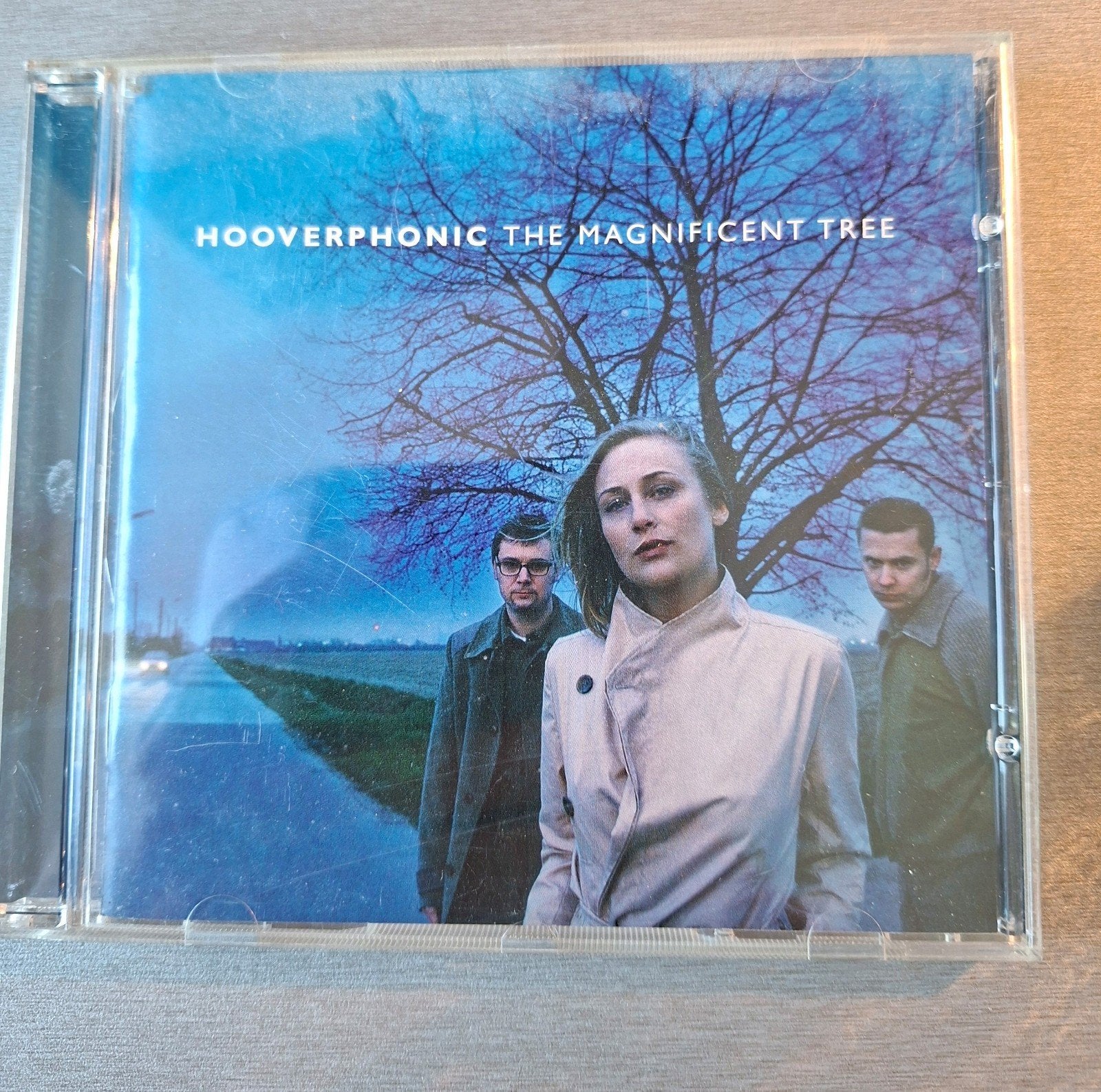 CD. Hooverphonique. L'arbre magnifique., CD & DVD, CD | Pop, Enlèvement ou Envoi