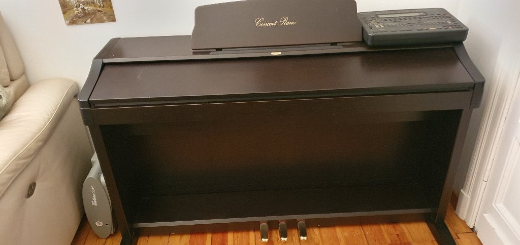 Korg concert electr. Piano orgel, Elektronische apparatuur, Ophalen, Zo goed als nieuw