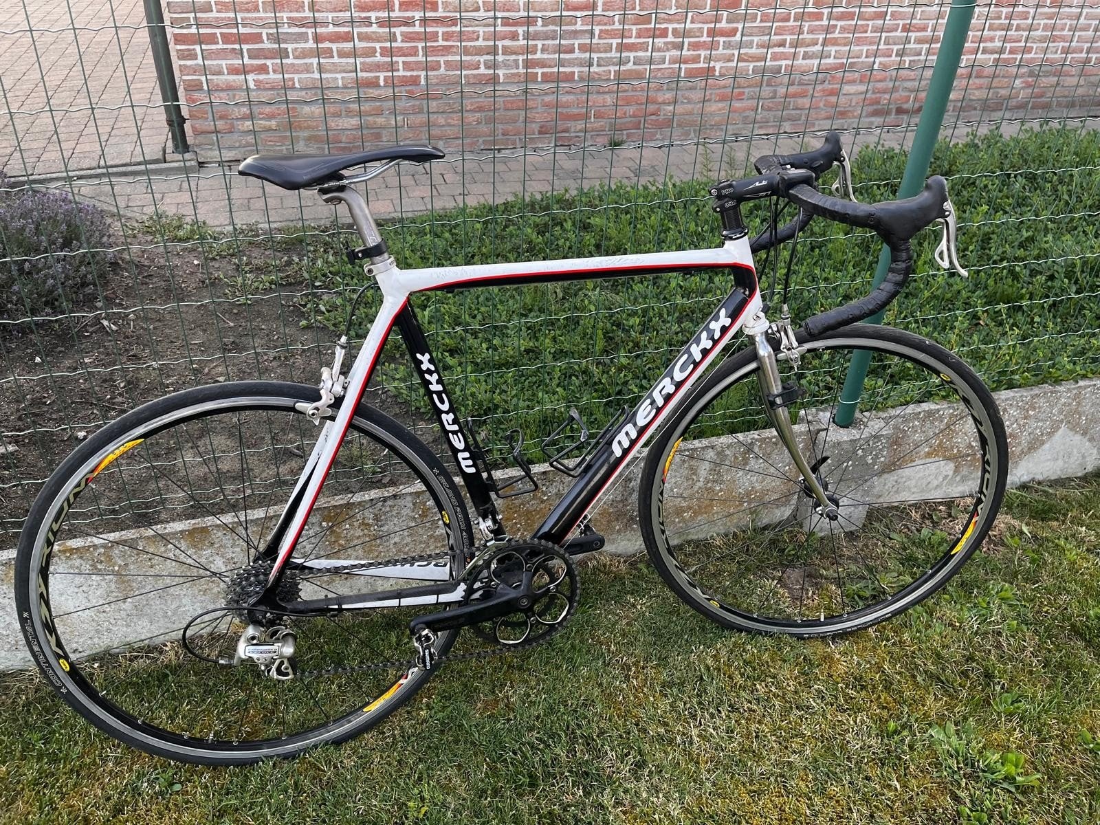 Koersfiets Eddy Merckx, Fietsen en Brommers, Ophalen