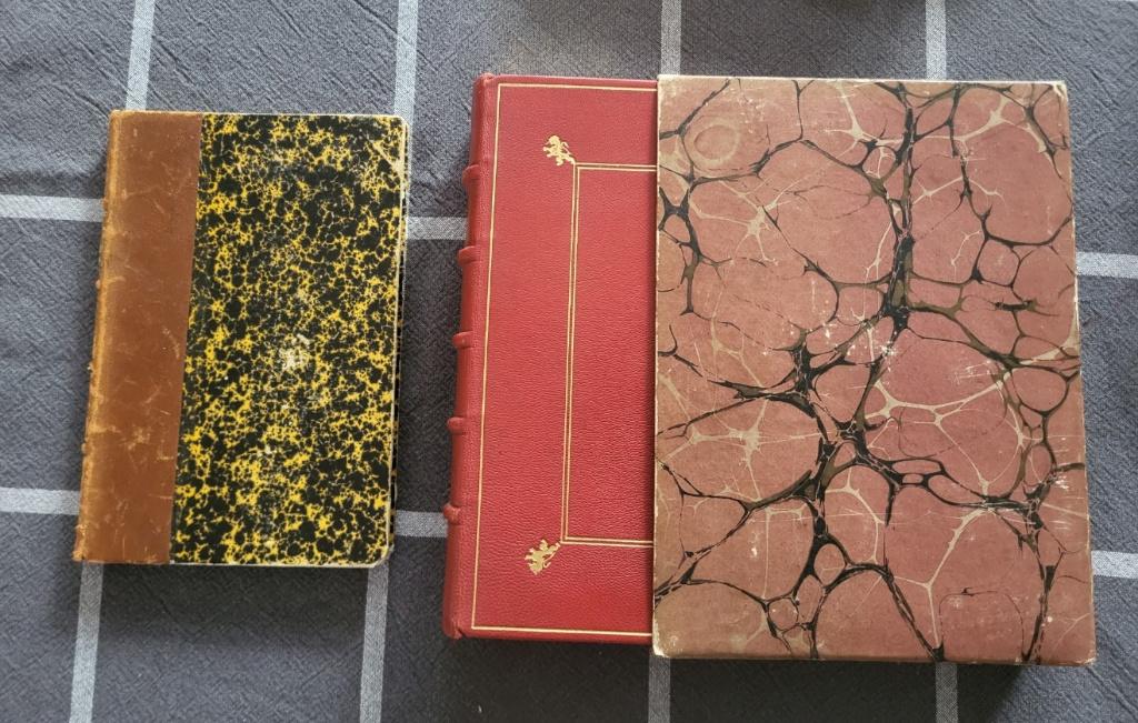 Livre La Belgique 1927+Légende des FrancsTireurs Dinant 1929, Livres, Enlèvement ou Envoi, Utilisé, Divers auteurs