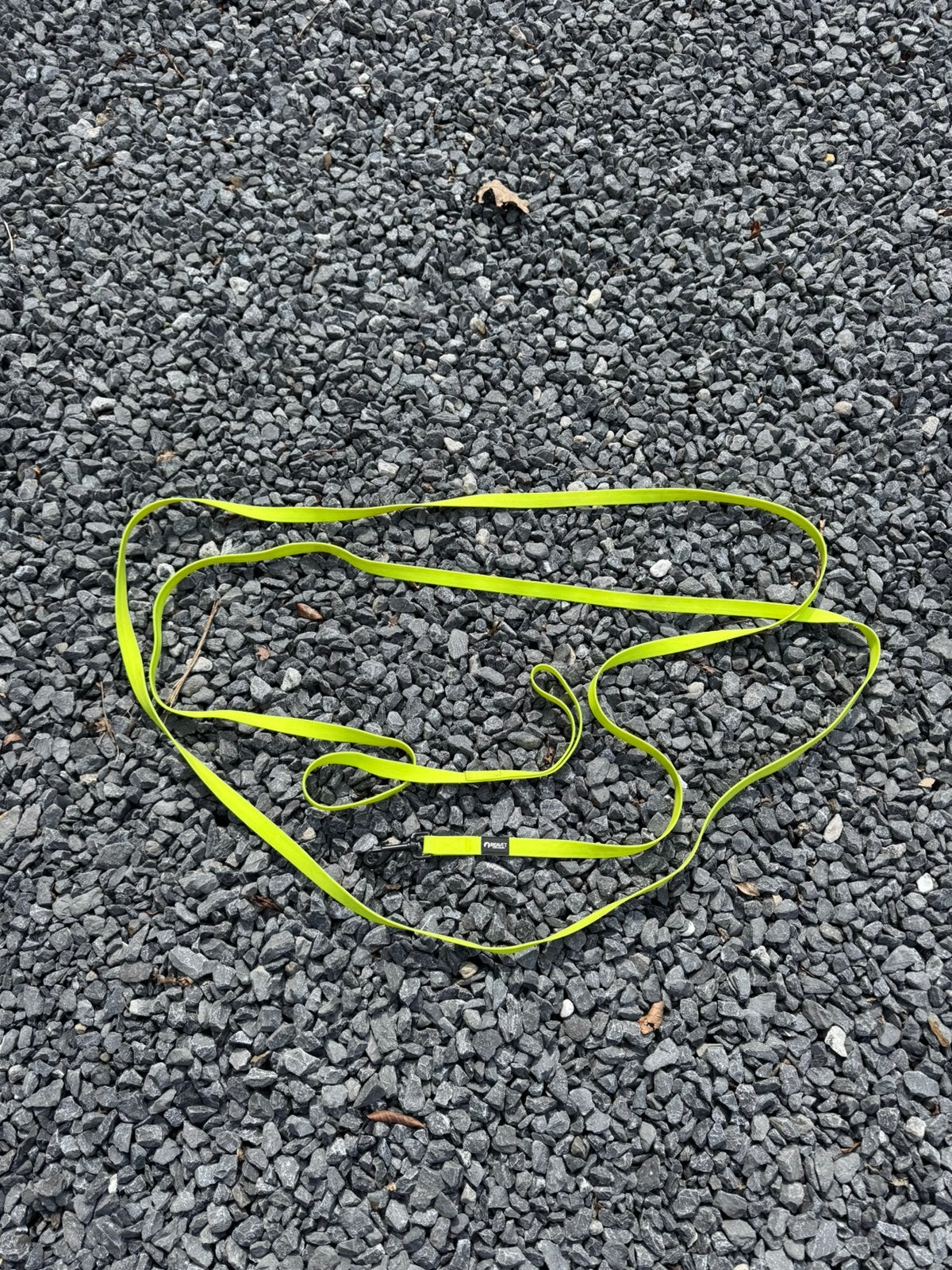 Lange fluolijn 5 meter + 2 kleine rode hondenlijn, Dieren en Toebehoren, Ophalen of Verzenden, Zo goed als nieuw, Hondenriem
