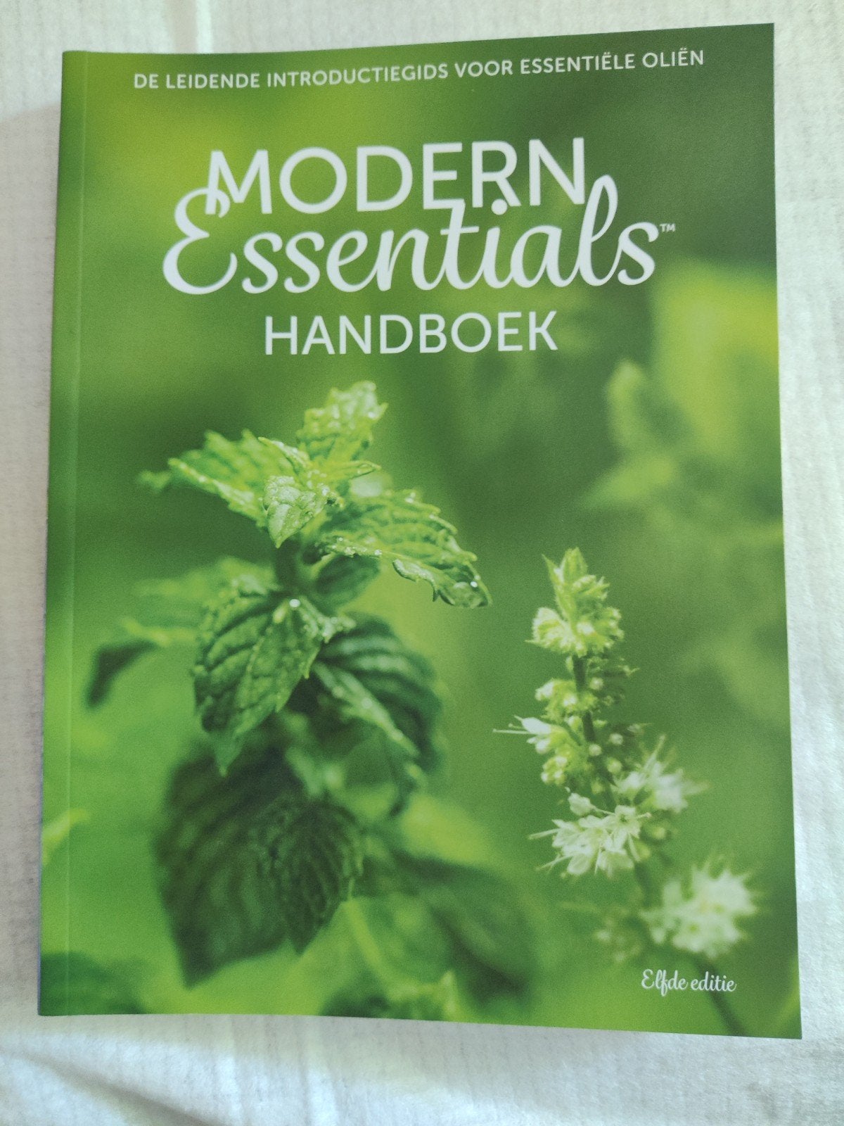 Modern essentials handboek, Boeken, Ophalen