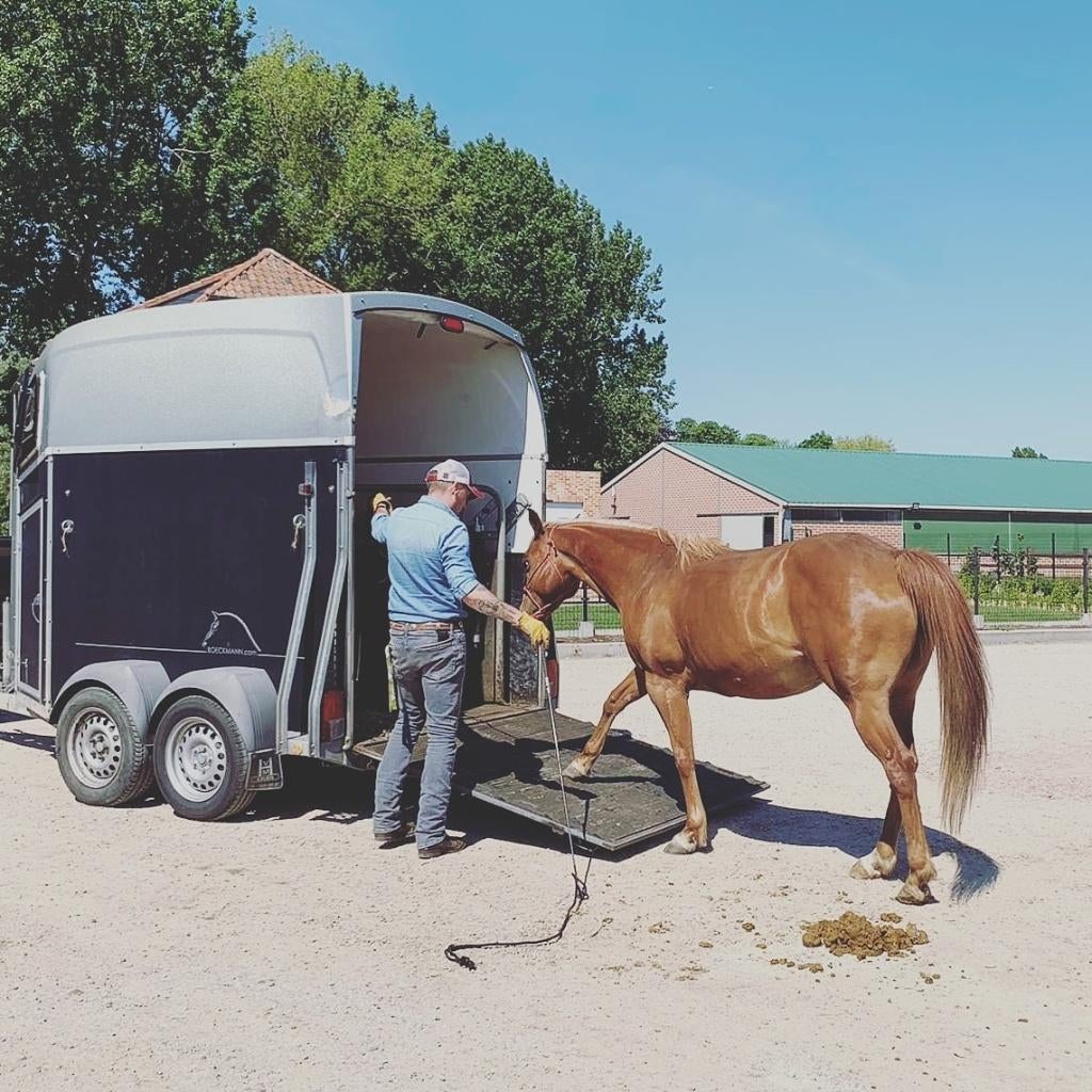Probleemloos trailerladen, Enlèvement, Neuf