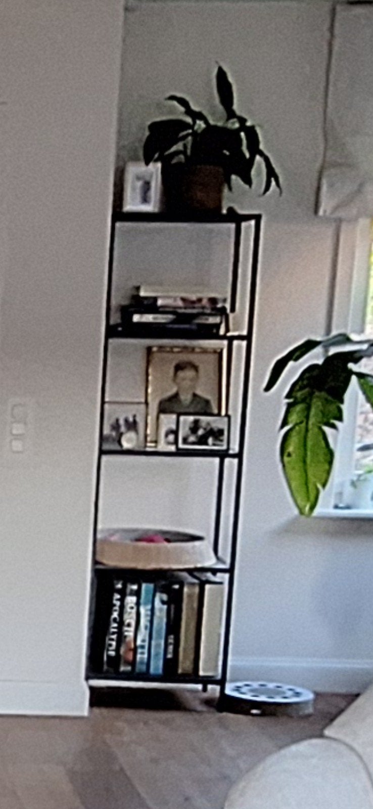 Wandrekje, stellingkast ikea VITTSJÖ, Huis en Inrichting, Ophalen, Metaal