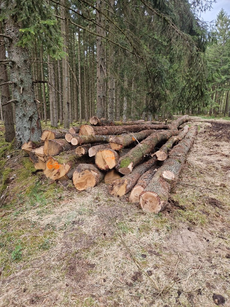 Bois de chauffage, Enlèvement ou Envoi, Hêtre, Bûches