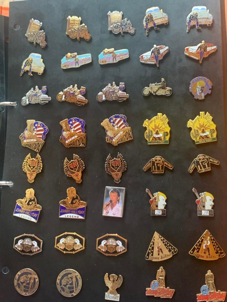 Retro pins van Johnny Hallyday 3€ het stuk, Verzamelen, Ophalen of Verzenden, Zo goed als nieuw