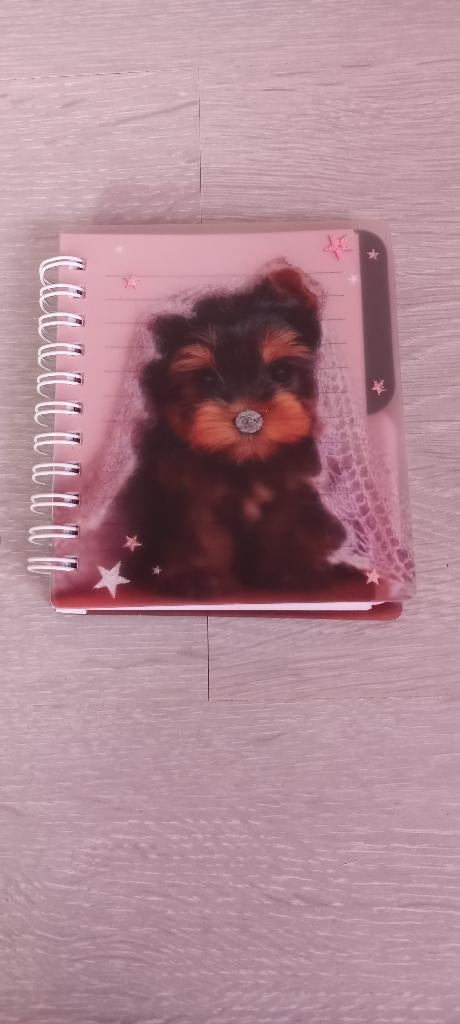 Kleine notitie boekjes, Divers, Cahiers de notes, Enlèvement