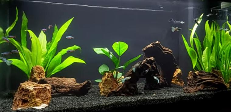 Juwel 110l, Dieren en Toebehoren, Ophalen, Zo goed als nieuw, Verwarming, Juwel