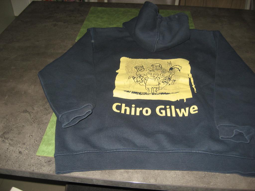 Sweater 12/14/ jaar CHIRO, Garçon ou Fille, Chiro Gilwe, Enlèvement ou Envoi, Pull ou Veste