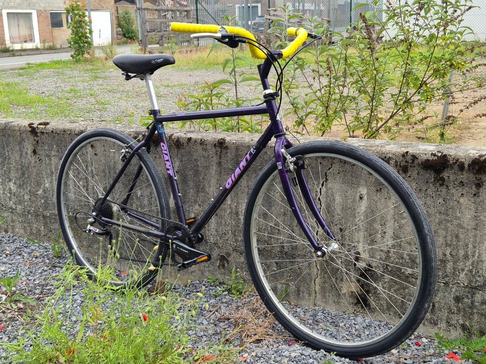 Vélo Giant tourer cromo 1m70 - 1m85 vintage, Vélos & Vélomoteurs, Enlèvement, Giant