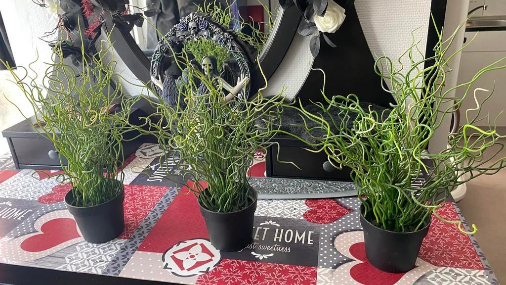 Lot 3 plantes artificielles IKEA, Enlèvement, Utilisé
